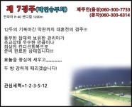 코리아레이스 경마제주인 전문가 게시판 읽기