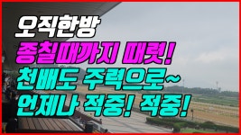 코리아레이스 경마이종운 전문가 게시판 읽기