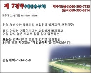 코리아레이스 경마제주인 전문가 게시판 읽기