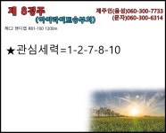 코리아레이스 경마