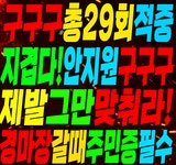 코리아레이스 경마