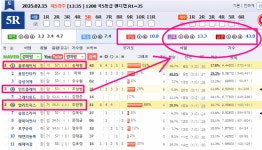 코리아레이스 경마허찬진 전문가 게시판 읽기