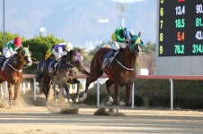 코리아레이스 경마