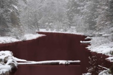 SCP-354 - 리브레 위키 SCP-354