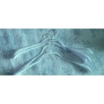 마와 바디폼 42/L (5개) : 다나와 가격비교 [다나와] 마와 바디폼 42/L (5개)