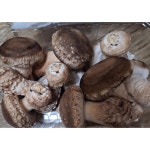 우체국쇼핑 우체국 쇼핑 문경 송화 송화고 고기버섯 일반형 500g - 에누리 가격비교