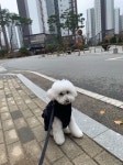 쁘띠몽드(PETIT MONDE) 밍크 퍼 스트링 베스트 블랙 - 후기 | 무신사