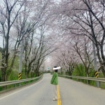 모메벤(MOMEBEN) pin tuck over knit cardigan - 125,000 | 무신사 스토어