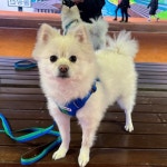 회원 후기 | 무신사 무신사