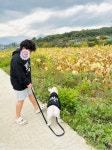 예일(YALE) 2 TONE ARCH HOODIE + PET - 사이즈 & 후기 | 무신사