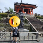 회원 후기 | 무신사 무신사