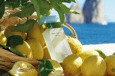 돌체앤가바나 입점 기념 이벤트 | 무신사