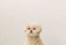 에쎕떱 입점 기념 이벤트 | 무신사