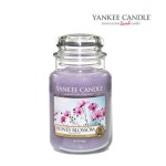 양키캔들(YANKEE CANDLE) 양키캔들 하우스워머 라지자 허니... 무신사 양키캔들(YANKEE CANDLE) 양키캔들 하우스워머 라지자... 