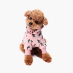 허츠앤베이(HUTS&BAY) Cactus Hoody Pink - 34,500 | 무신사 스토어