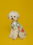 피크라이즈(PEAK RISE) Hawaiian Flower Shirt Ivory - 42,000 | 무신사 스토어