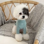 쁘띠몽드(PETIT MONDE) 베이직 하이넥 이너 폴라티셔츠 민트 - 19,000 | 무신사 스토어