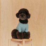 헤이버디(HEY BUDDY) 버디 와펜 티셔츠_민트 - 후기 | 무신사