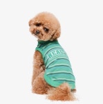 리얼펫(REALPET) 컬러풀 스트라이프 라운드 티셔츠 그린 - 20,800 | 무신사 스토어