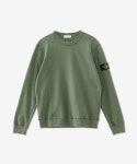 스톤아일랜드(STONE ISLAND) 남성 와펜 패치 브러쉬드 코튼 플리스 맨투맨 - 세이지 그린 / 751563020V0055 - 사이즈 & 후기 | 무신사