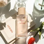 모먼트(MOMENT) 프렌치 무드 디퓨저 160ml - 후기 | 무신사 모먼트(MOMENT)  프렌치 무드 디퓨저 160ml - 후기 | 무신사