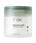 와이비케이(YBK) 어성초 원스텝 포어 패드 140ml - 20,400 | 무신사 스토어