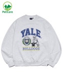 예일(YALE) 1ST AWARDS BULLDOGS CREWNECK LIGHT GRAY - 사이즈 & 후기 | 무신사