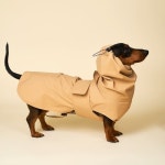 엔젤도그(ANGEL DOG) 개뽀송 트렌치 레인코트 Beige - 49,900 | 무신사 스토어