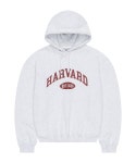 하버드(HARVARD) OLD SCHOOL PRINT HOODIE(MELANGE GREY) - 사이즈 & 후기 | 무신사