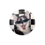 3130스튜디오(3130STUDIO) 체커보드 프렌드 블루캣 반구톡 - 후기 | 무신사 3130스튜디오(3130STUDIO) 체커보드 프렌드  블루캣 반구톡... 