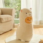 무신사 월간 랭킹 | 매달 바뀌는 쇼핑 트렌드와 성별·카테고리별 TOP30