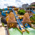 오션월드(OCEANWORLD) [단독특가] 비발디파크 오션월드 주말 종일권 (6월) - 후기 | 무신사