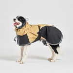 니즈더펫(NEEDS THE PET) 인터라켄 에버웜 하이퍼 강아지 패딩코트 - 후기 | 무신사