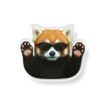 던타운(DAWNTOWN) 아크릴톡 랫낫디스터브 아이폰16/15/14/13/12/11/프로/갤럭시25/24/23/22/21/20 - 후기 | 무신사