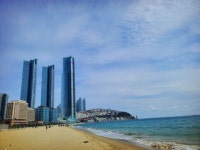 해운대 | 기타 갤러리 - 무신사