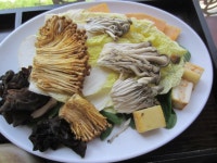 채소 | 기타 갤러리 - 무신사