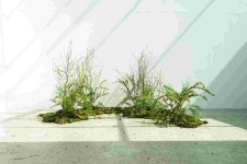 모노 가든 | 무신사