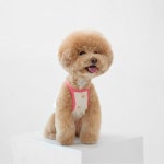 헤이버디(HEY BUDDY) 플로럴 크롭탑 _ 아이보리 - 후기 | 무신사