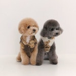 헤이버디(HEY BUDDY) 코지 베어 베스트 - 후기 | 무신사