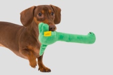 cushion& blanket | 무신사 스토어