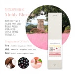 라비주얼(LAVISUAL) 플레이스 인센스 40g 뮬리블라썸향 - 25,000 | 무신사 스토어