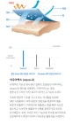 무신사 스탠다드(MUSINSA STANDARD) 쿨링 베이스 레이어 크루 넥 언더셔츠 [블랙] - 23,190 | 무신사 스토어