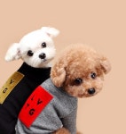 어화둥둥 내 댕댕이! 무신사 스토어 반려동물 용품 특별전 | 무신사