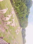 양떼목장 | 기타 갤러리 - 무신사