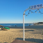 강문해변 | 기타 갤러리 - 무신사