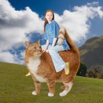 동물과 함께 자연과 함께 | 무신사