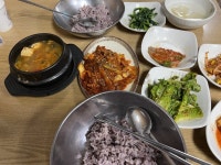 백반 | 기타 갤러리 - 무신사