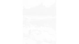 Take Form of Pet: ‘Never Truly Leave Us’ - Newsweek Moment Dogs Ashes Being Scattered Take Form of Pet: Never Truly Leave Us