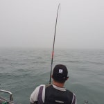 찌낚시조황 - 06/13 첼린저호 대물참돔과 힘겨루기 ~!!