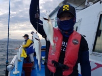 (西)서해조황 - <<< 무창포프로낚시 >>> 8.17 (화) [[ 세븐호 ]]  친절한 강선장  --- 백조기 ---조황